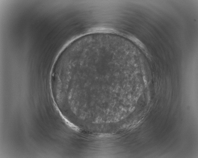 X0000082181430200702162315