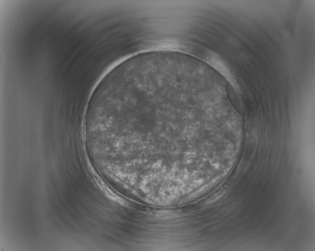 X0000082181436200702162315