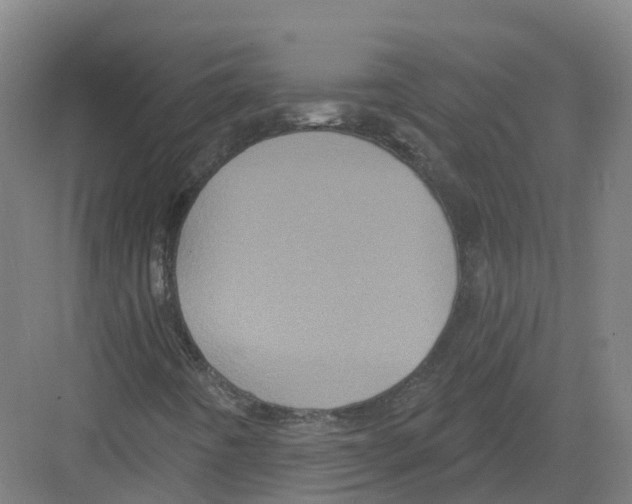 X0000082181442200702162314