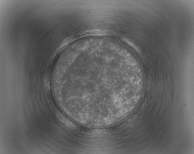 X0000082181451200702162314