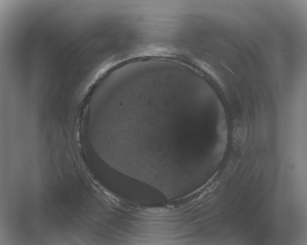X0000082181455200702162314