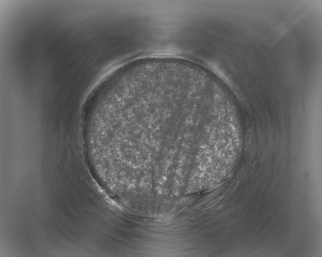 X0000082181456200702162314