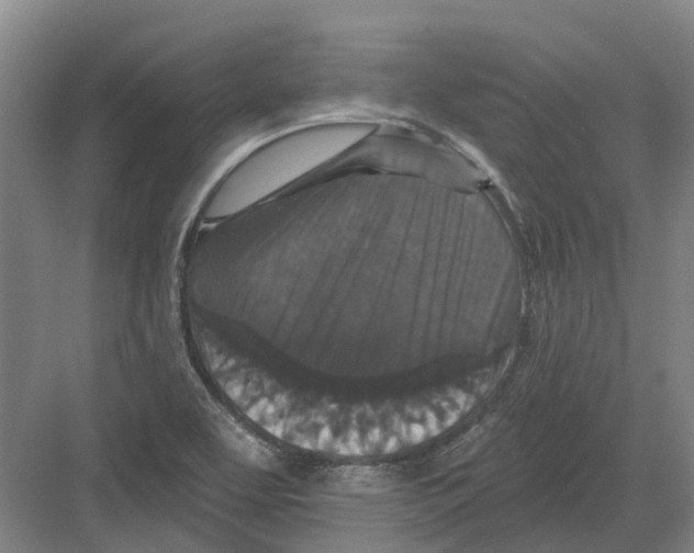 X0000082181463200702162314
