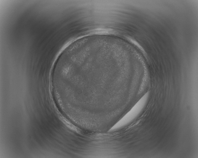 X0000082181467200702162314