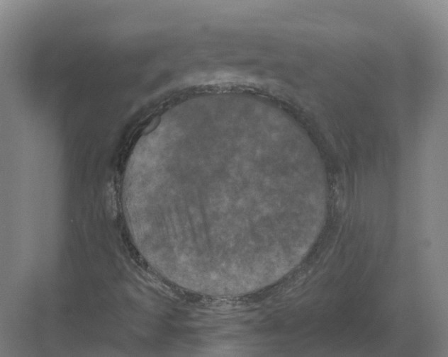 X0000082181493200702162313