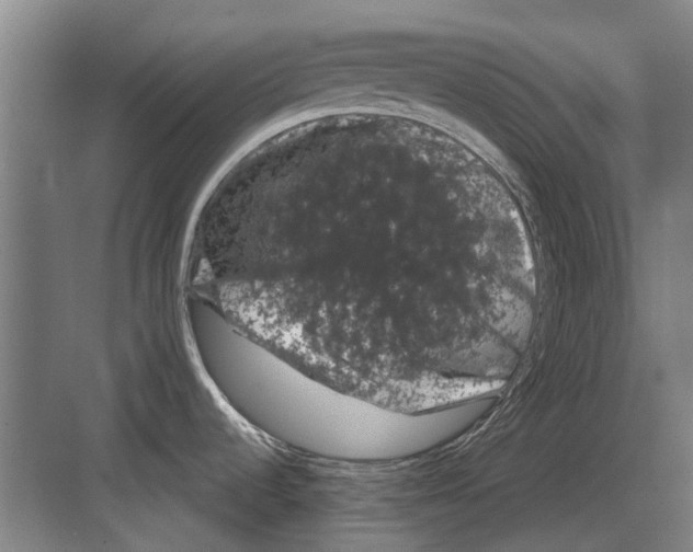 X0000082181536200702162314