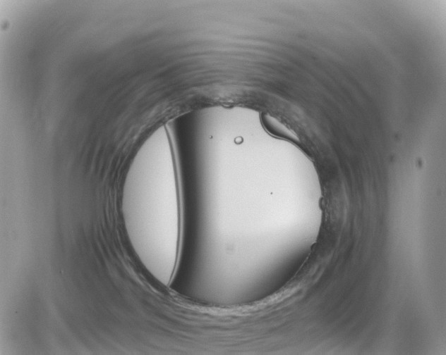 X0000082200044200701191101