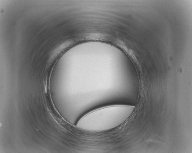 X0000082200062200701191100