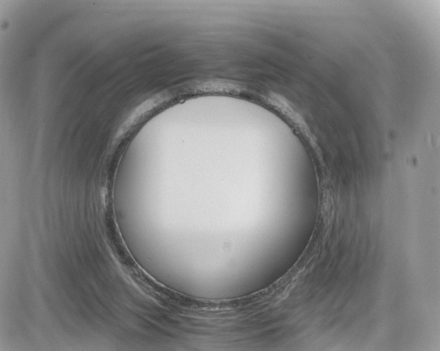 X0000082200063200701191100