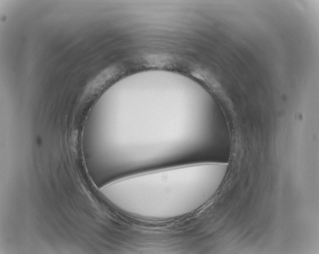 X0000082200066200701191100