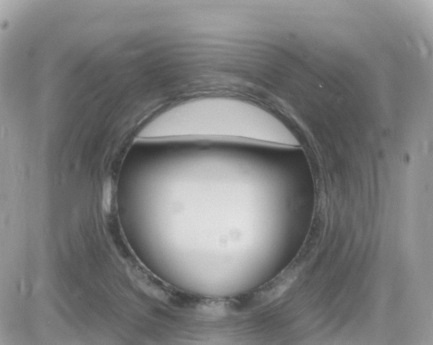 X0000082200076200701191101