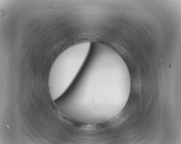 X0000082200082200701191101