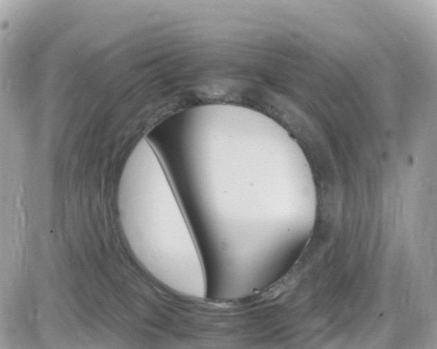 X0000082200085200701191101