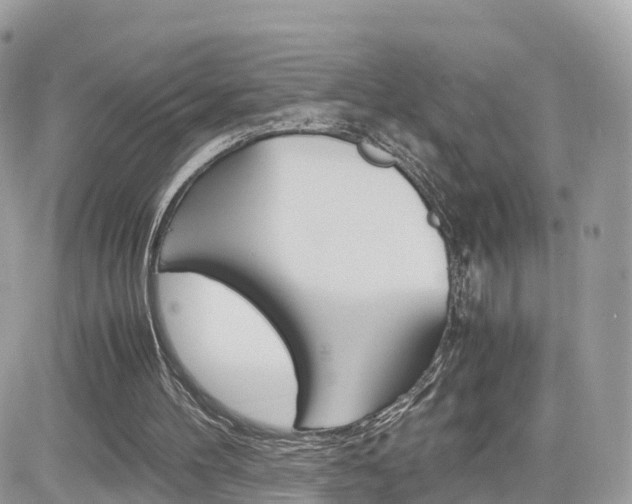 X0000082200100200701191100