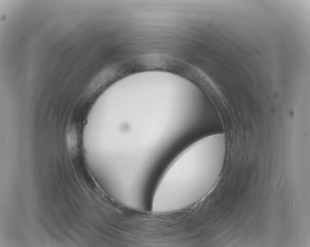 X0000082200124200701191100