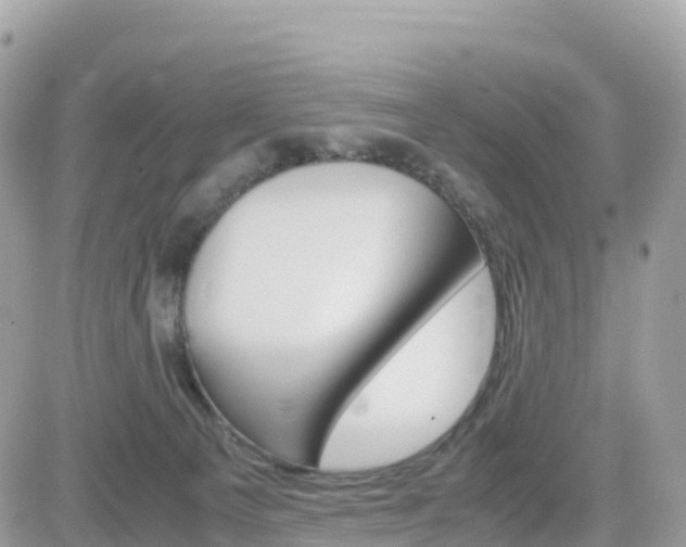 X0000082200129200701191100