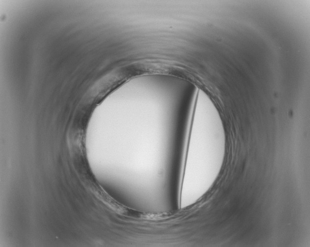 X0000082200141200701191059