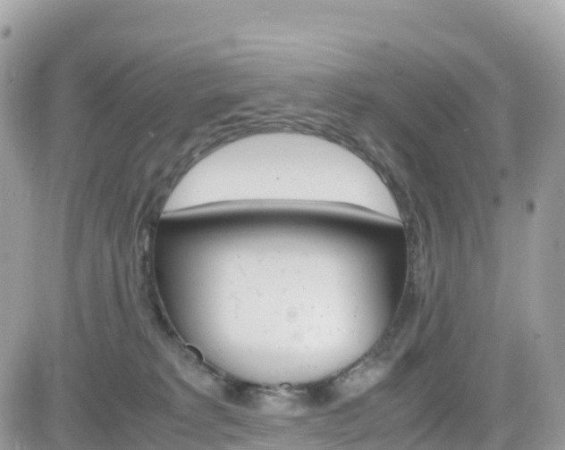 X0000082200229200701191058