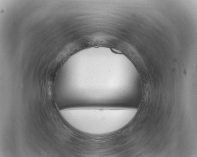 X0000082200232200701191058