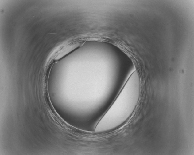 X0000082200293200701191057