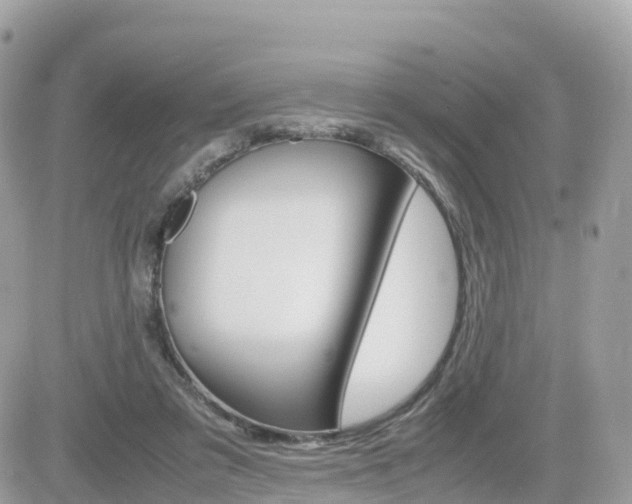 X0000082200309200701191057