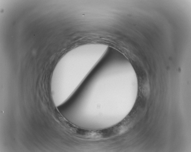 X0000082200319200701191057