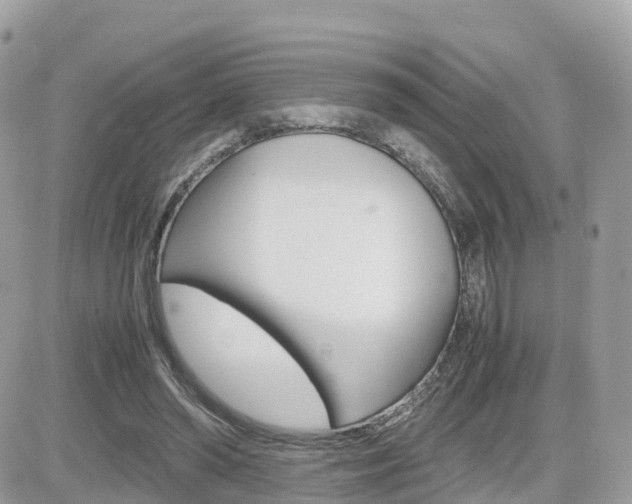 X0000082200398200701191055
