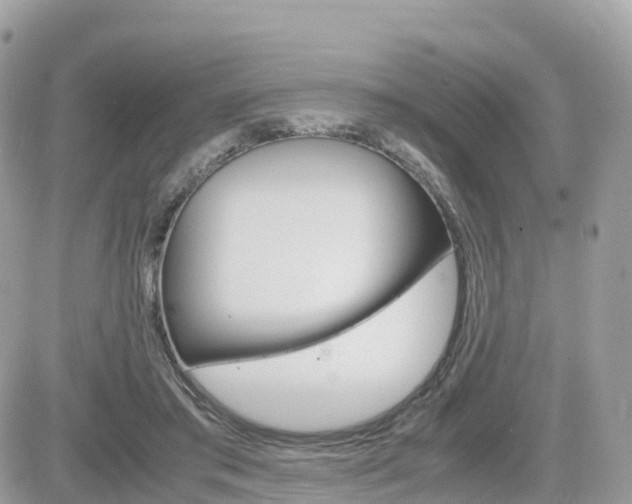 X0000082200405200701191055
