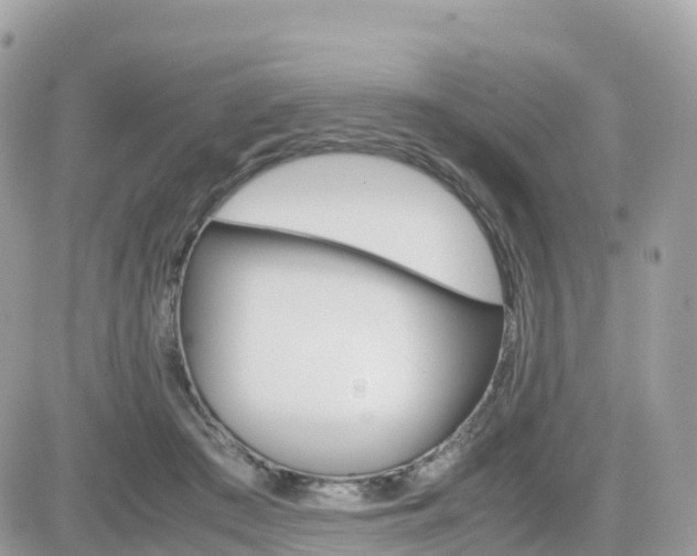 X0000082200409200701191055