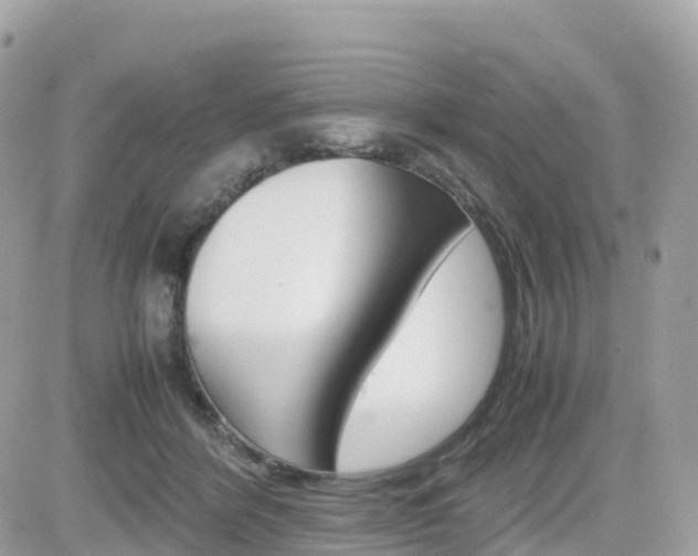 X0000082200412200701191055