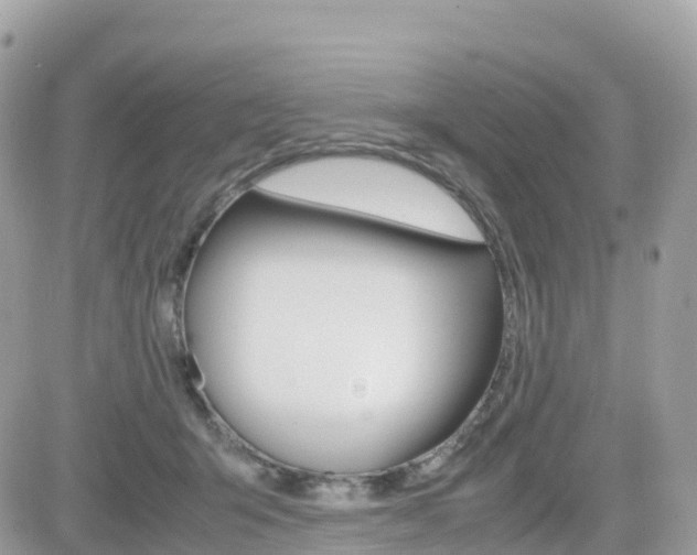 X0000082200415200701191055