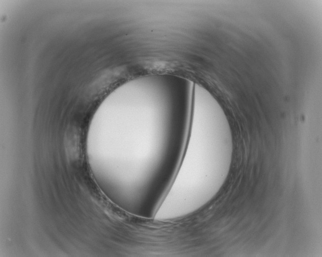X0000082200416200701191055