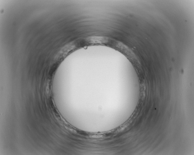 X0000082200422200701191055