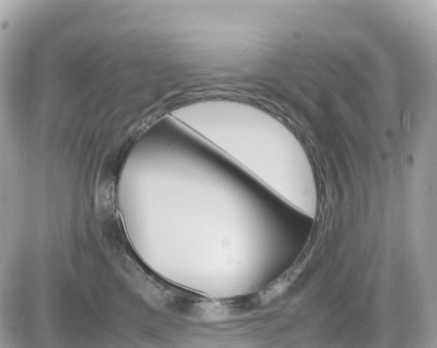 X0000082200425200701191055