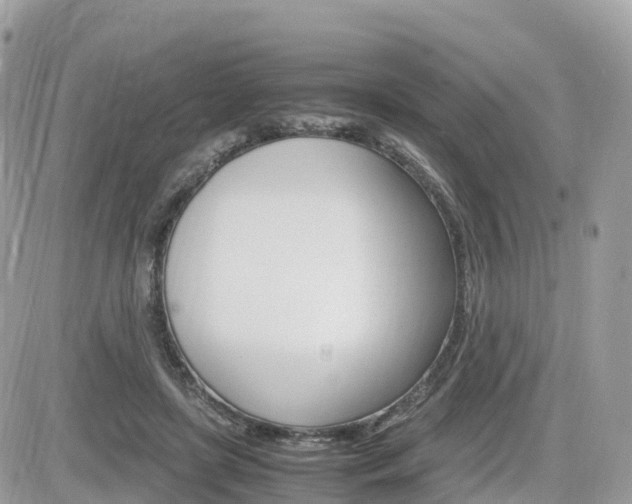 X0000082200451200701191054
