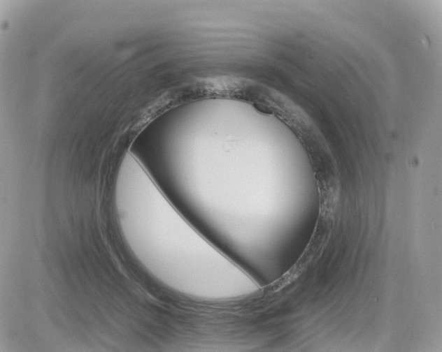 X0000082200456200701191054