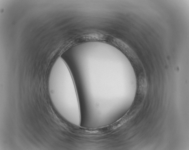 X0000082200457200701191054