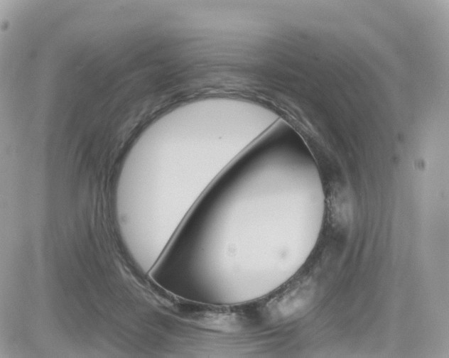X0000082200458200701191054