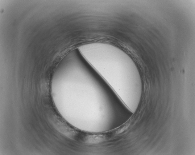 X0000082200461200701191054