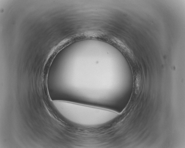 X0000082200492200701191054