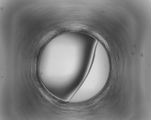 X0000082200493200701191054