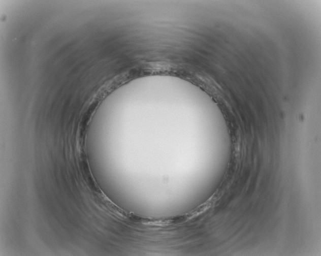 X0000082200516200701191053