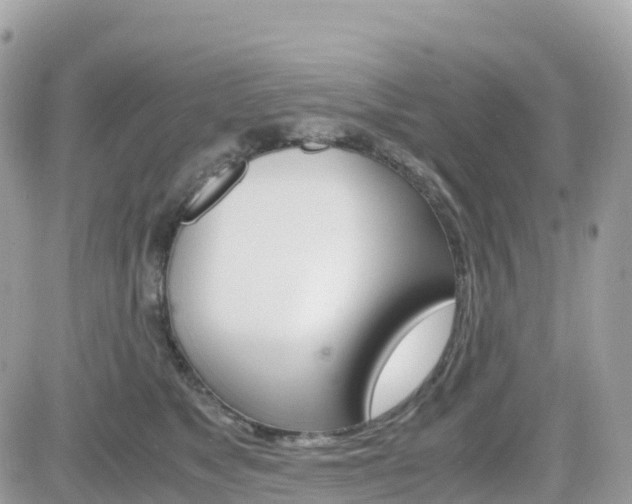 X0000082200517200701191053