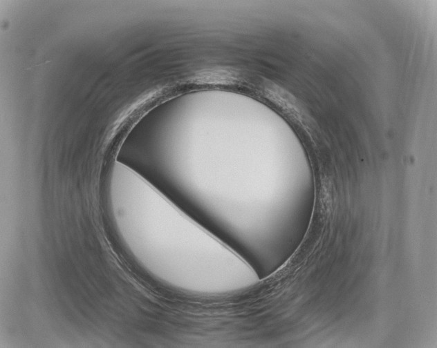X0000082200535200701191052