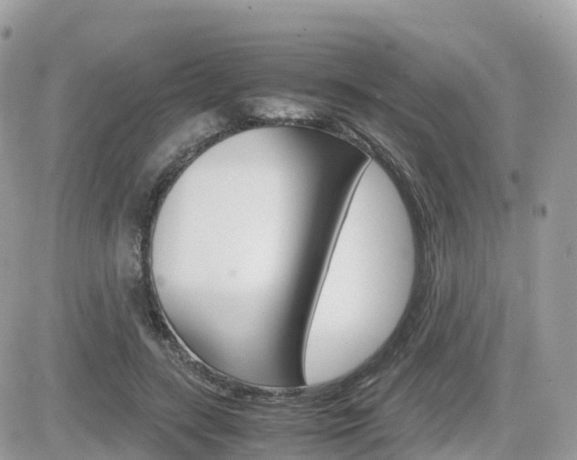 X0000082200547200701191053