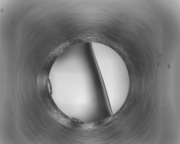 X0000082200574200701191053