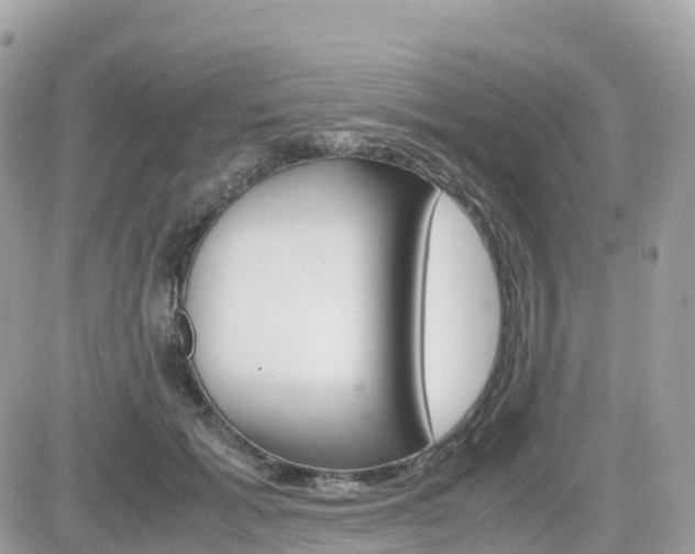 X0000082200605200701191052