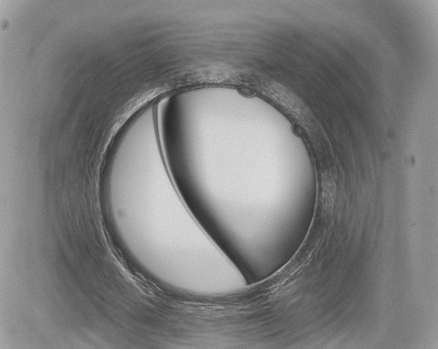 X0000082200626200701191051