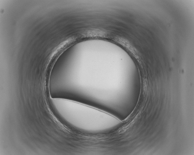 X0000082200629200701191051