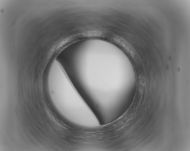 X0000082200631200701191051